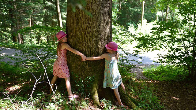Gyerekek az erdőben