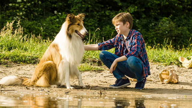 Lassie hazatr nyeremnyjtk