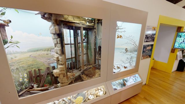 Magyar Fldrajzi Mzeum