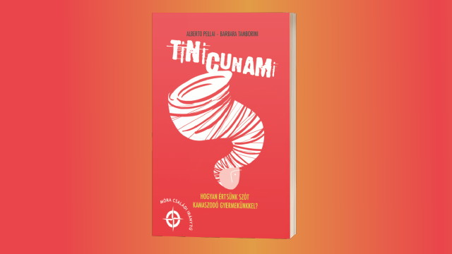 Tinicunami