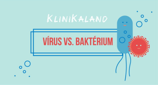 Klinikaland 3. - Vrus vs. baktrium