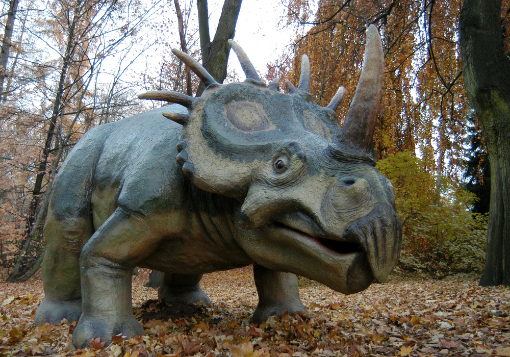 dinoszaurusz park
