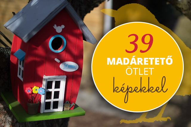 madáretető képek