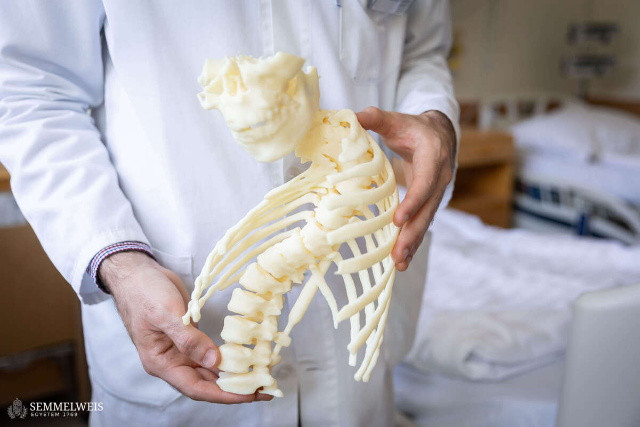 3D-gerincmodell