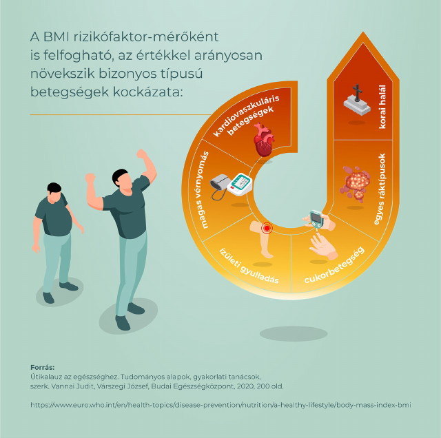 BMI infografika