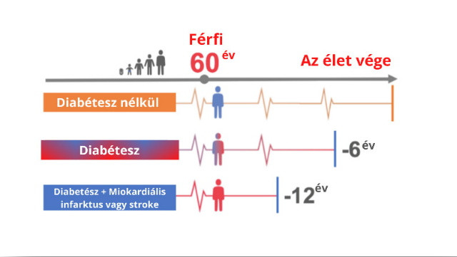 Cukorbetegsg szvdmnye - diagram