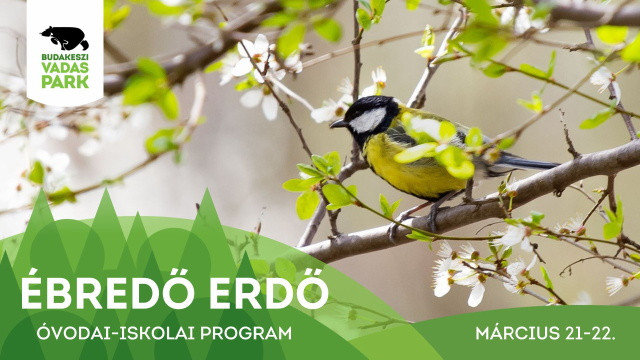 Ébredő erdő - Óvodai-iskolai program