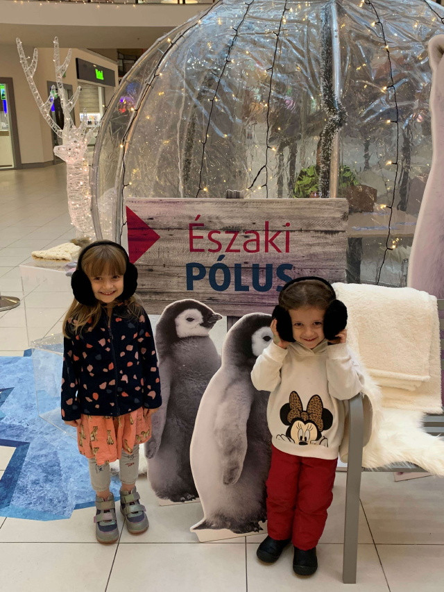 szaki Plus