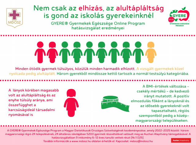 infografika
