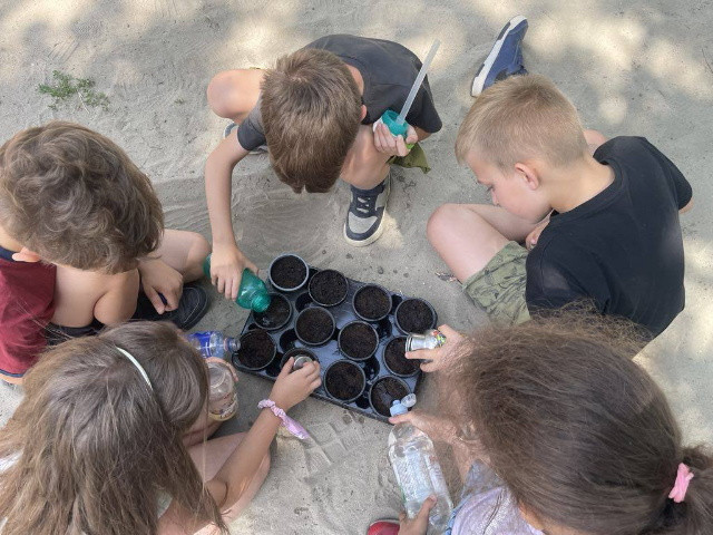 Méhlegelő ültetés