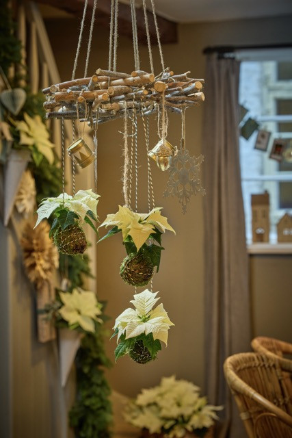 Mikulásvirág - Rusztikus koszorú Mikulásvirág - Rusztikus koszorú