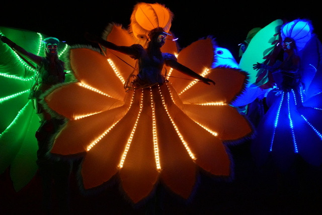 Oakleaf: Explorer/Flower Power