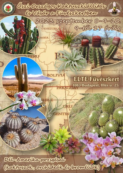 Őszi Országos Kaktuszkiállítás és Vásár plakát