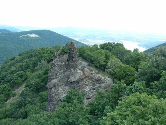 Vadll-kvek