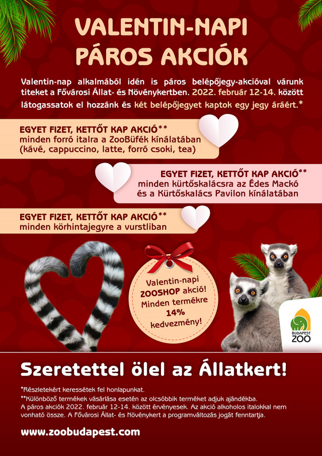 Valentin-napi pros akcik az llatkertben