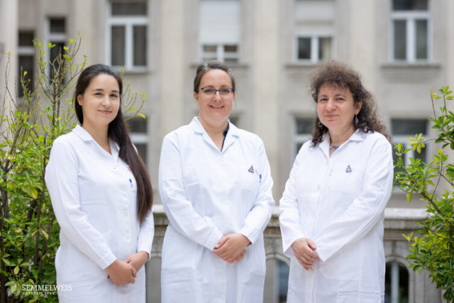 A tanulmny szerzi: dr. Juhsz Rka, dr. Benedek Csilla s Hajas Lvia
