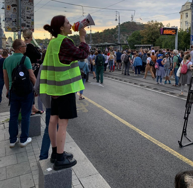 diktntets 2022