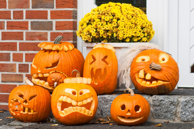 halloween tk csald