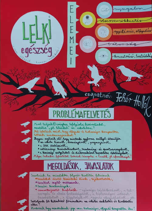 Lelki egszsg (Fehr Hollk)