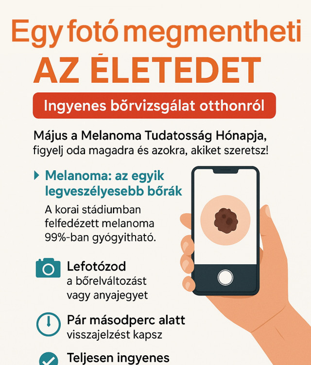 brvizsgl mobilalkalmazs infografika