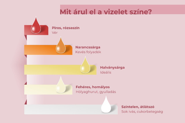 Mit rul el a vizelet szne?