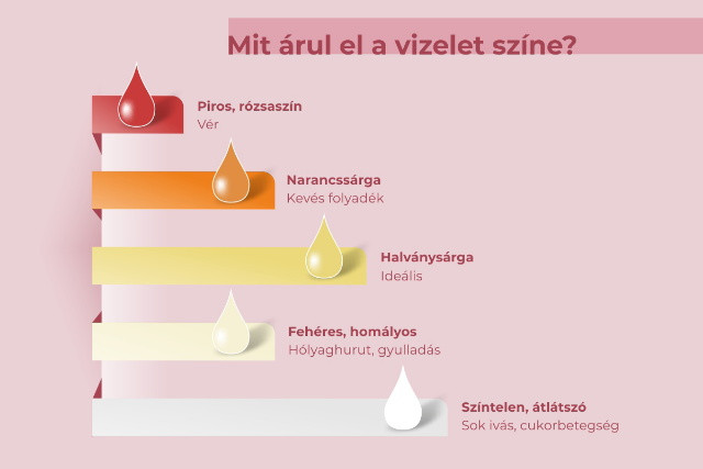 Mit árul el a vizelet színe?