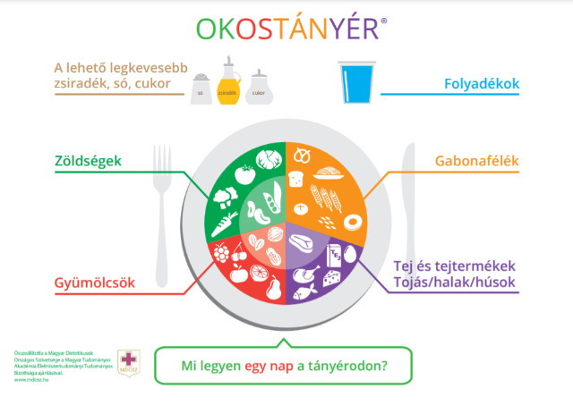 Okostnyr - mi legyen egy nap a tnyrodon?