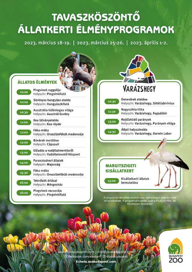 tavaszköszöntő állatkerti élményprogramok