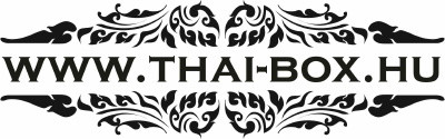 Thai-Box logo