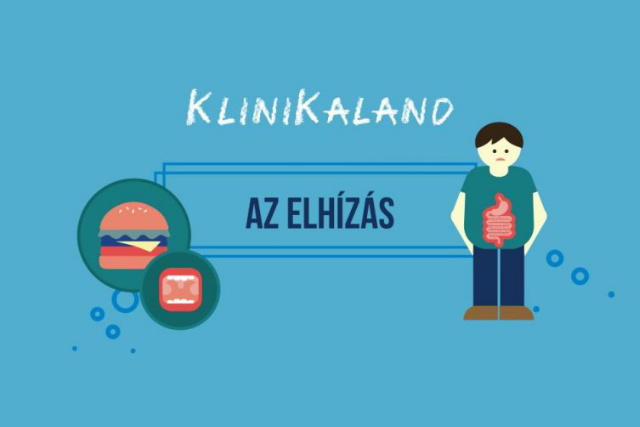 Klinikaland - elhzs