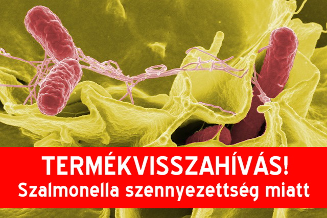 Termkvisszahvs Szalmonella szennyezettsg miatt