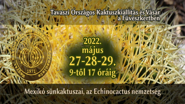 Kaktuszkillts - 2022 tavasz