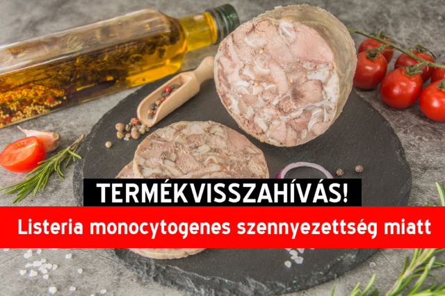 Termkvisszahvs - disznsajt