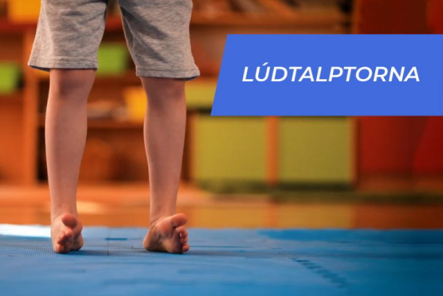 Semmelweis oktatvidek - Ldtalptorna