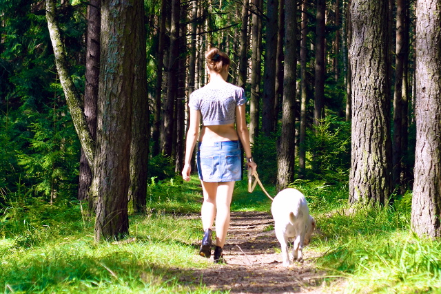 erdei séta kutyával