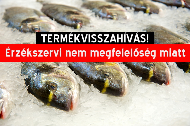 Termkvisszahvs: gyorsfagyasztott tengeri hekktrzs