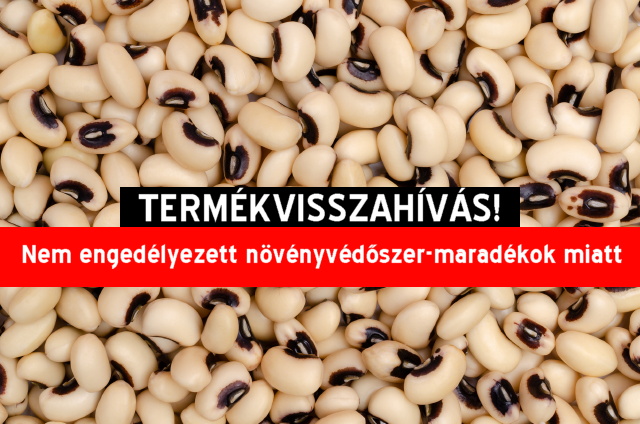 Termkvisszahvs: fekete szemes bab