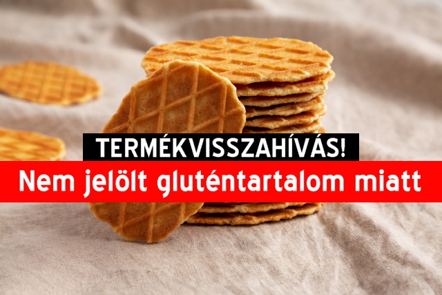 Termkvisszahvs - Snack Day Glutnmentes (lencse) tallr