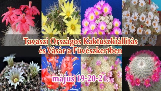 Tavaszi Orszgos Kaktuszkillts s Vsr az ELTE Fvszkertben