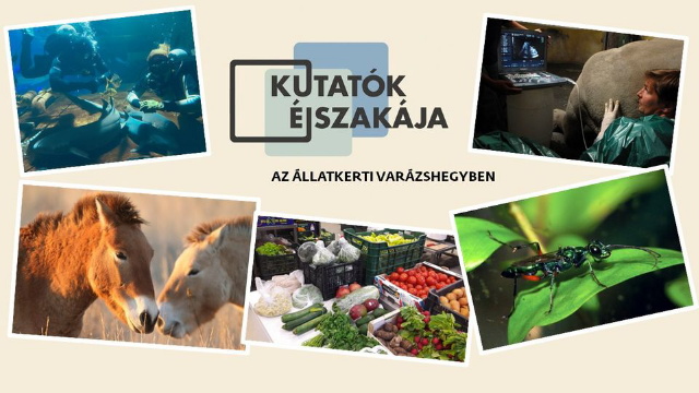 Kutatk jszakja az llatkerti Varzshegyben