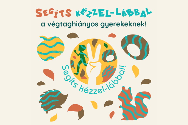 segts kzzel-lbbal - szi kampny