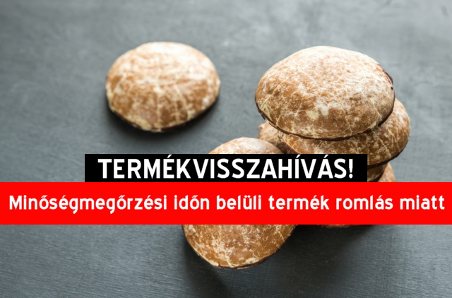 Termkvisszahvs - mzes puszedli