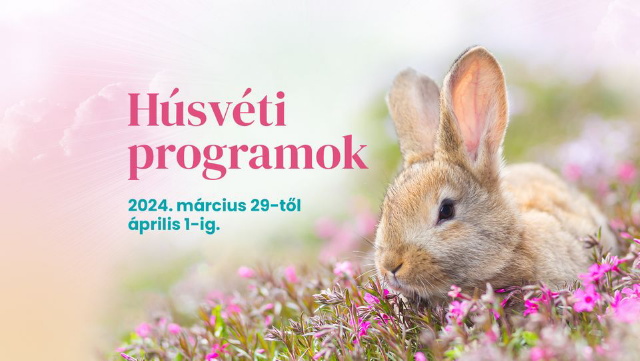 Hsvti programok az llatkertben