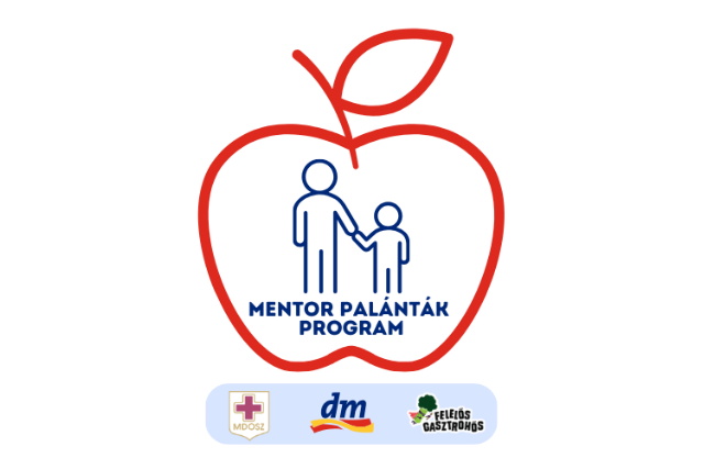 Mentor Palntk Program