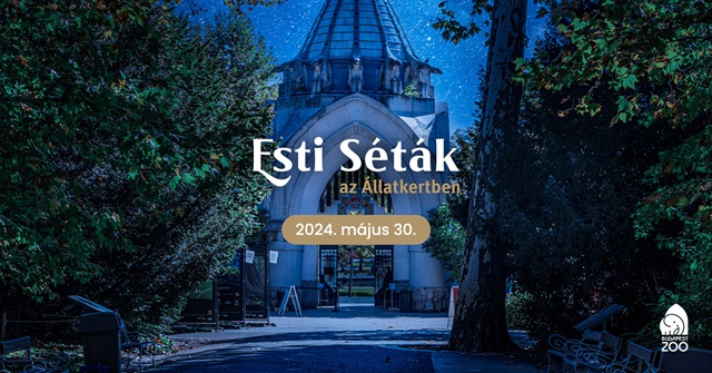 Esti sta a Budapesti llatkertben