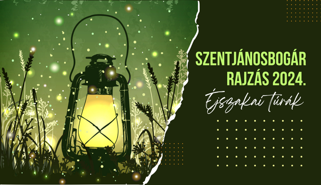 szentjnosbogr rajzs trk 2024