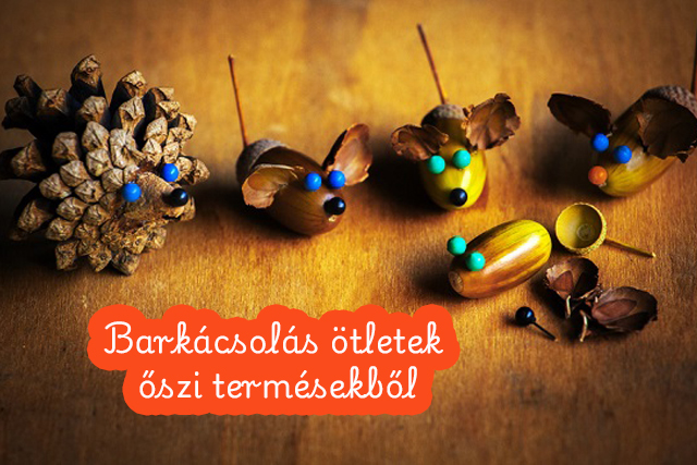 barkcsols tletek szi termsekbl