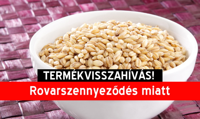 Termkvisszahvs - hntolt rpa (gersli)
