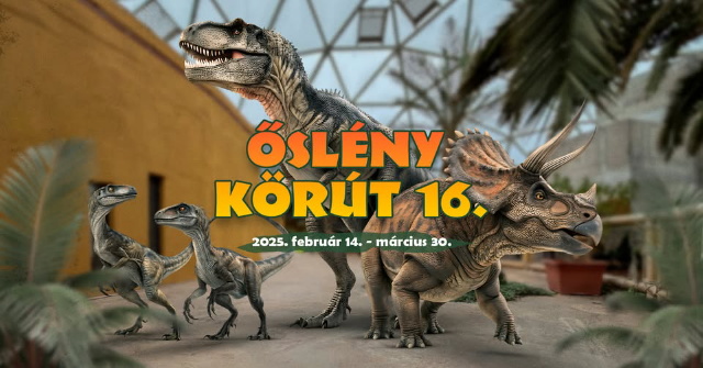 slny krt 16.