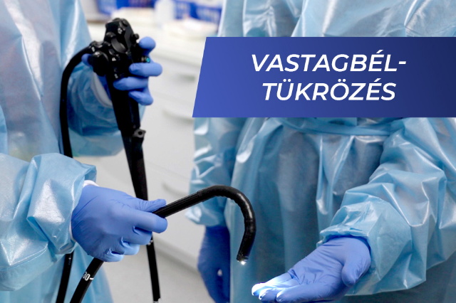 Vastagbltkrzs oktatvide